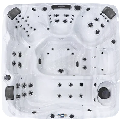 Avalon EC-867L hot tubs for sale in Naperville