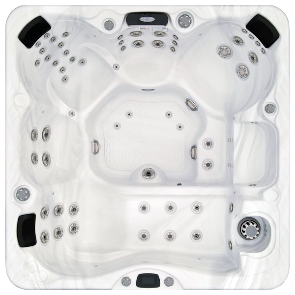 Avalon-X EC-867LX hot tubs for sale in Naperville